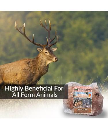 Himalayan Nature Deer Attractant Salt Mineral Rock - 100% Natural Licking Rock - Buy Online on GoSupps.com