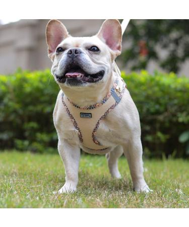 Doramio Dog Harness for Small Dogs | Reflective & Breathable Step-In Leash | Anti-Train Safety Dishes for Dogs & Cats - Beige XL - Buy Online on GoSupps.com