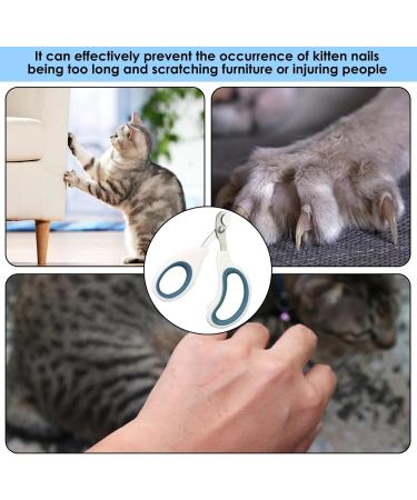 Professional Blue Cat Nail Clippers - XXTTXX Claw Scissors for Safe Cat Grooming | Buy Internationally - Buy Online on GoSupps.com