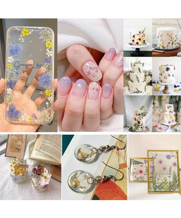 Mini 3D Nail Dried Flower Sticker Kit - Real Natural Five Petal Flower and Leaf Gypsophila Dry Flowers for Nail Art Resin Craft DIY - 2 Boxes, 5.12 x 1.97 inches - Buy Online on GoSupps.com