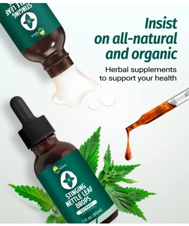 Organic KingHealth Stinging Nettle Extract Tincture - 98% Absorption, Vegan, Non-GMO - 1 fl oz - Buy Online on GoSupps.com