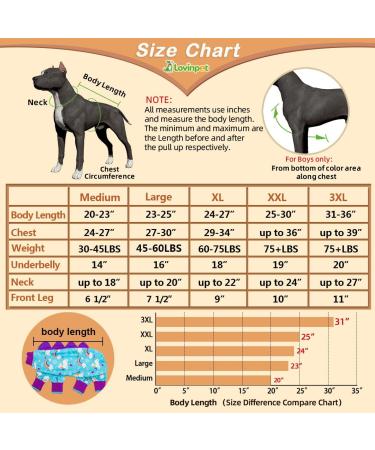 LovinPet Large Dog Pajamas - Anti Licking Recovery Clothes, Lightweight Onesie, Starlight Rainbow/Wild Horse Prints, UV Protection - Large Blue - Buy Online on GoSupps.com