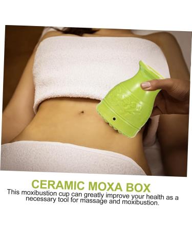 Health Moxibustion Set - Ceramic Double Layer Moxa Burner Scraper Tool & Moxa Cup - Peach Blossom Design for Enhanced Wellness - Buy Online on GoSupps.com