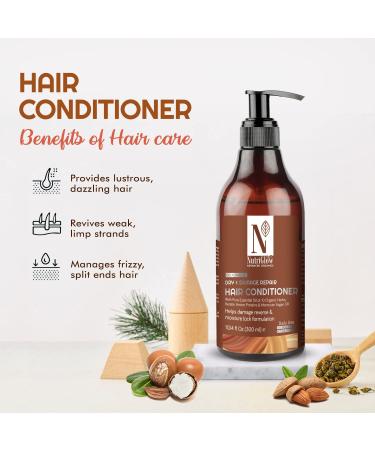 Bio Advanced Daily Use Conditioner - Repair Dry & Damaged Hair with Argan & Essential Oils | Moisture Lock Formula | 300ml - Buy Online on GoSupps.com