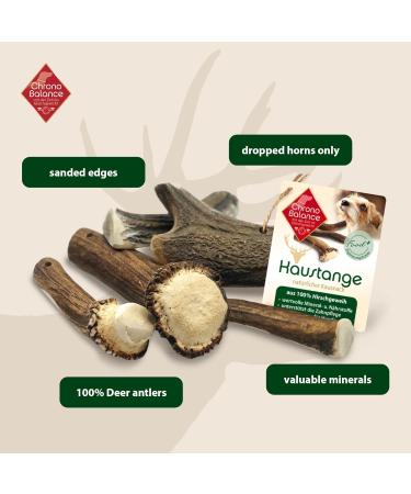 Chronobalance L Antlers Caustie for Dogs - Halved Dental Chew Toys 100% Deer Antler Sustainable Dog Bones for Dental Hygiene - 1 Piece - Buy Online on GoSupps.com