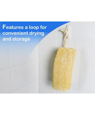 Organic Natural Loofah Sponge Set - 100% Plastic Free Compostable Body Bath Scrubber for Cleaning & Showering (Set of 4 - Buy Online on GoSupps.com
