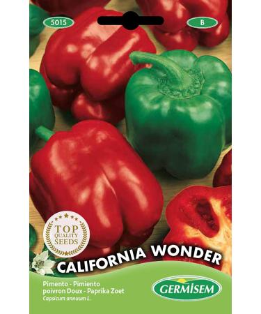 Germisem seeds Sweet pepper CALIFORNIA WONDER