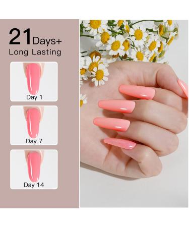 ROSALIND Nude Poly Nail Gel Set - 6Pcs Opal Clear Pink Brown Colors - DIY Acrylic Extension Nail Art - Buy Online on GoSupps.com