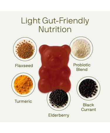 Nutriissa Flaxseed Gummies Digestive Health & Omega Support EPEB Certified for Purity & Potency 60 Blueberry Flavored Vegan Gummies - Buy Online on GoSupps.com