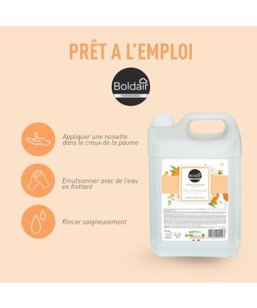 BOLDAIR- Nettoyant mains the vert bergamote- Formule nettoyante Hydratante et adoucissante- 5L- Fabrication Fran aise Th Vert Bergamote 5 l (Lot de 1) - Buy Online on GoSupps.com