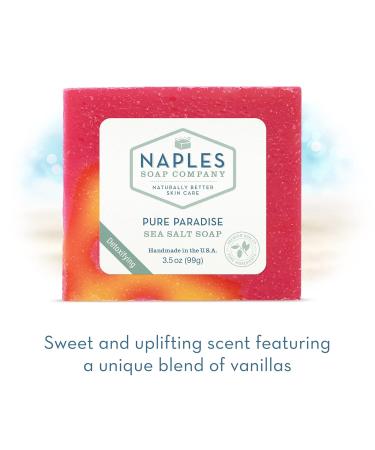 Naples Soap Company pH Balancing Sea Salt Soap Stack Gift Set | Naturally Exfoliate & Moisturize | Nutrient-Rich Beach Vibes | Set of 4 Bars (3.5 oz - Buy Online on GoSupps.com