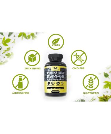 Premium Ashwagandha KSM-66 Root Extract - 180 Vegan Capsules | 1200 mg/day Magnesium Zinc Vitamin B6 | Boost Energy & Balance | GMO Free - Buy Online on GoSupps.com