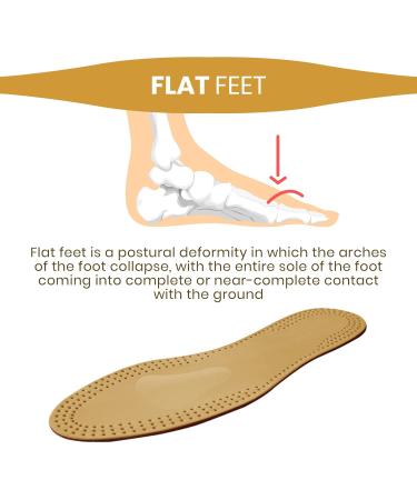 Vaya Exclusivo Primo Orthopedic Insoles for Flat Feet & Hallux Valgus Activated Carbon Size 44 - Buy Online on GoSupps.com