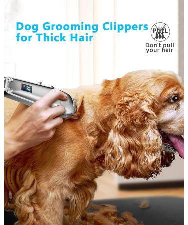 oneisall Professional Dog Clippers Kit - 2-Speed Cordless Trimmer for Thick Hair Grooming, Metal Blade for Dogs and Cats - Buy Online on GoSupps.com