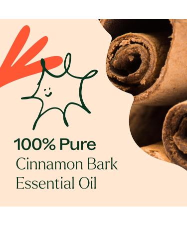 Buy 100% Pure Cinnamon Bark Essential Oil 30 mL | Plant Therapy - Therapeutic Grade Undiluted International Shipping Available - Buy Online on GoSupps.com