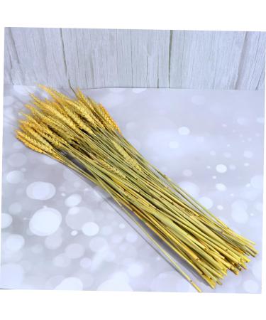 MAGICLULU 1 Decor Natural Wheat Rural Wheat Dried Wheat Simulation Wheat Dried Flowers Bouquet - Buy Online on GoSupps.com