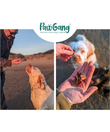 PawGang - Beef Jerky 200g - 100% Natural EU Sourced Treats for Dogs Puppies Young Adult Old Small and Large Dog - Tasty Air Dried Chews Snacks - Healthy Hypoallergenic - Low Fat Grain Free - BARF Raw - Buy Online on GoSupps.com