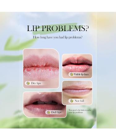 Aislor Avocado Lip Balm with Petroleum Jelly & Oil Deep Hydrating Nourishing Formula for Daily Use And Travel Green One Size One Size Green - Buy Online on GoSupps.com