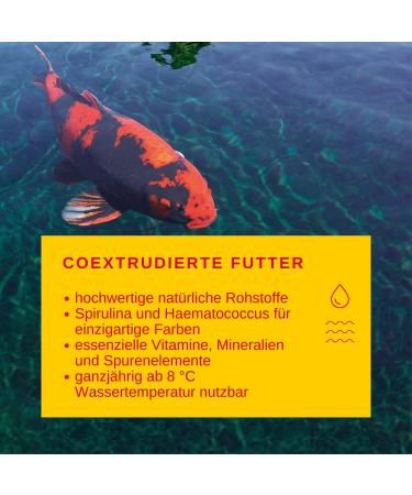 Sera Koi Professional Spirulina Color Card 7 kg - Premium Koi Food for Vibrant Colors | Supports Growth & Reduces Algae | Shipping Worldwide - Buy Online on GoSupps.com