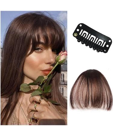 Bangs Hair Bangs Hair Clip Bang Clip on Air Bangs Natural Fringe Front Flat Bang 1 Piece Straight Hair for Women Hair Extensions(K20-4) 6inches K20-4 - Buy Online on GoSupps.com