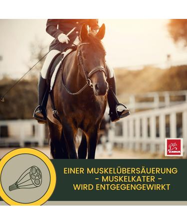 Amino Liquid I Amino Acids Vitamin B Complex I Dietary Supplement Vitamin B12 I Zinc Horse I Muscle Building Horse Muscle Building I Regeneration Muscles for Horses 1L - Buy Online on GoSupps.com