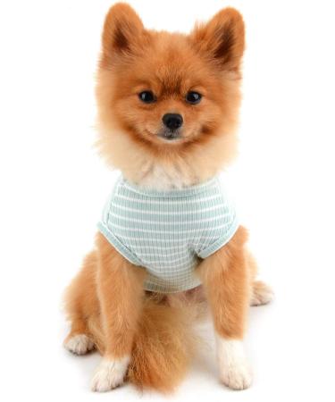 Paidful Summer Striped T-Shirt for Small Dogs - 100% Cotton Sleeveless Chihuahua & Yorkshire Tee - Green - M (Back Length: 25cm Bust: 37cm) - International Shipping Available - Buy Online on GoSupps.com