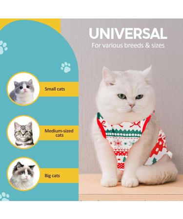 Avont Katzenbody: Optimal Recovery Suit for Cats | Post-Surgery Leak Protection Abdominal Wounds & Skin Care | International Shipping Available - Buy Online on GoSupps.com