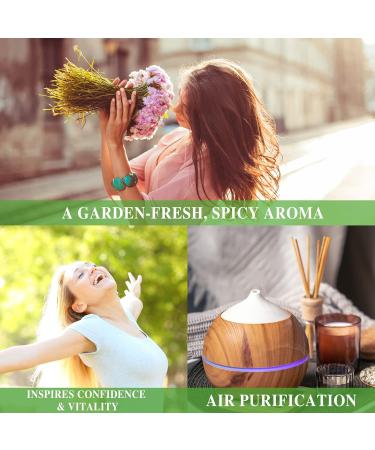 Buy MAYJAM Basil Essential Oil 10ML - Pure Basil Oil for Diffusers Humidifiers & DIY Projects - Freshen Up Your Home & Wardrobes! - Buy Online on GoSupps.com