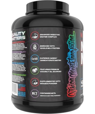 VMI Sports Major Mass Lean Mass Gainer | Protein Powder for Muscle Gain | Weight Gainer for Men & Women | Cinnamon Crunch | 4 Pounds - Buy Online on GoSupps.com