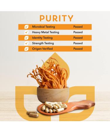 Bloom Health Cordyceps Mushroom Capsules - 1000MG Energy and Endurance Support (125-Day Supply) - Organic, Non-GMO, Vegan-Friendly - Buy Online on GoSupps.com