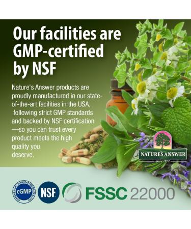 Nature's Answer Mullein X Respiratory Soothing Throat Lozenges 24 Count Alcohol Free Herbal Cough Support with Mullein Marshmallow English Ivy & Honey Non GMO Gluten Free - Buy Online on GoSupps.com