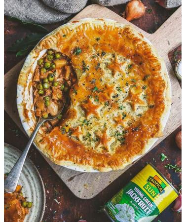 Tropical Sun Young Green Jackfruit in Water 400g 400 g (Pack of 1) - Buy Online on GoSupps.com