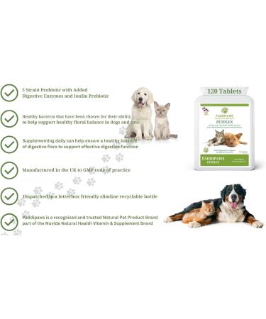 Probiotics for Dogs and Cats - Yeast Infection Treatment for Dogs - Dog Probiotics for Gut Health - 5 strain active bacteria with digestive enzymes and prebiotics - 120 Chicken Flavour Tablets. - Buy Online on GoSupps.com
