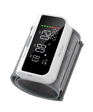 Arm Blood Pressure Monitor for Home Use Automatic Blood Pressure Machine Automatic Tensiometer with Large Display Upper Large Cuff(8.66-16.53 inches/22-42 cm) Store up 2x120 Memory and Guest Mode
