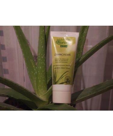 Aloe Vera Gold Toothpaste 75 ml - Natural Whitening & Refreshing | International Shipping - Buy Online on GoSupps.com