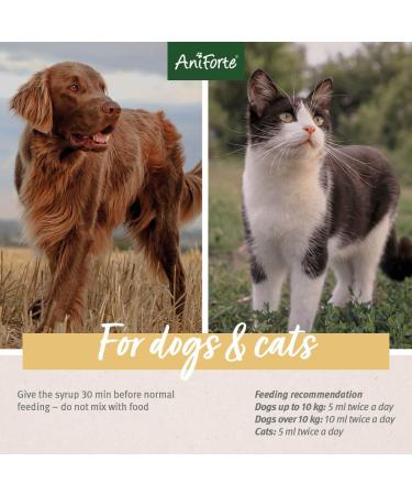 AniForte Slippery Elm Powder 100g: Slippery Elm for Cats & Dogs - Harmonises Stomach and Gastrointestinal Activity - Buy Online on GoSupps.com