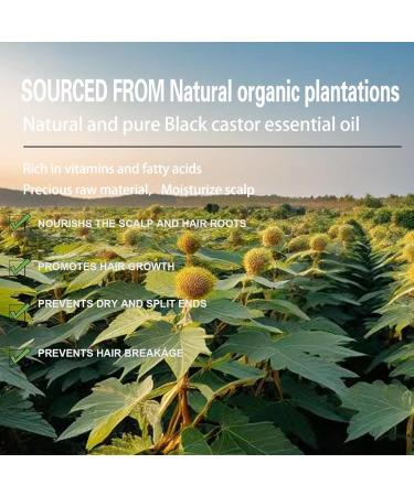 Castor Oil Organic Black Castor Oil for Eyelashes and Eyebrows Pure Naturals Cold Pressed Hair Growth Oil Promote Hair Growth Strengthen Hair Roots and Prevent Bifurcation 30ML - Buy Online on GoSupps.com