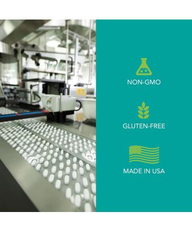 Xtravit Pre Workout Fruit Punch Powder - Thermogenic Gym Supplement for Men & Women - Support Energy Lean Muscle Growth & Nutrition - Non GMO Filler Free 38.8 oz. 30 Servings - Buy Online on GoSupps.com