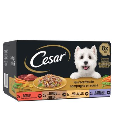 CESAR Dog Meals - 24 Trays (Pack of 3 Packs 8x150g) - Dog Food in Sauce - Beef / Chicken / Lamb / Turkey - Complete & Balanced Food with Natural Ingredients