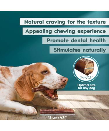 AMEIZPET Bully Pizzle Sticks for Dogs - 8 Natural Chews for Training & Dental Health 12cm (4.7 ) - Perfect for Puppies & All Breeds - Buy Online on GoSupps.com