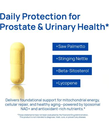 Selerb NAD+ Supplements for Men Nitric Oxide Prostate Health Supplements for Men with Resveratrol CoQ10 L Citrulline and Lycopene for Anti-Aging Stamina & Cellular Energy Support 60 Capsules 1 Bottle - NAD for Men - Buy Online on GoSupps.com