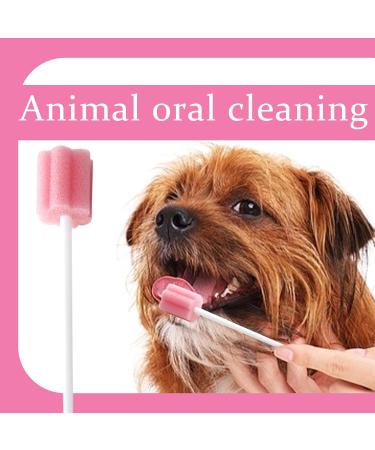 Buy Mundupfer 100 Partial Tooth Cleaning Set for Dogs | Dental Care Sponge Swab for Pets & Kids | International Shipping Available - Buy Online on GoSupps.com