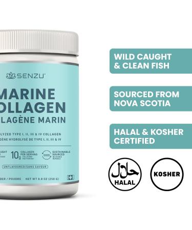 Premium Marine Collagen Powder | Wild-Caught from North Atlantic | Supports Hair Nail Skin Health Pure Hydrolyzed Form Tasteless - 250g - Made in Canada - Buy Online on GoSupps.com