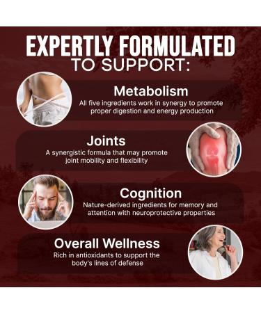 Ceylon Cinnamon Turmeric ACV Ginseng Aloe Vera Berberine Plus Banaba Ginger Root - 120 Capsules 120 Capsules (Pack of 2) - Buy Online on GoSupps.com