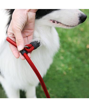 1Pc Nylon Dog Training Rope Slip Lead Dog Leash Durable Dog Traction Rope Durable Dog Traction Rope Suitable for Small Medium Dogs (Red) - Buy Online on GoSupps.com