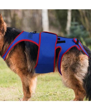 Hip Brace for Dogs - Dogs Back Brace Helps Small Dogs - D-Ring and Reflective Strips Dog Back Brace for Dogs Dogs Back Prevention Helps Hurt Relief - Buy Online on GoSupps.com