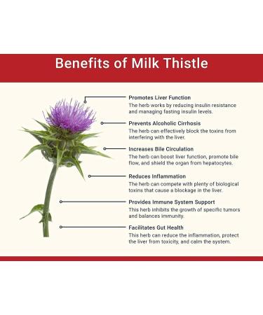 ORGANIZE HEPTAWIT AYURVEDIC liver syrup for complete healthy liver protection 150 ML - Buy Online on GoSupps.com