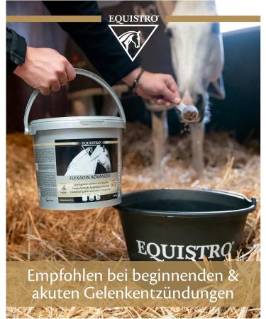 Vetoquinol Equistro Flexadin Advance 2.4 kg | Joint Supplement for Horses | Supports Osteoarthrosis & Joint Metabolism | Omega-3 Fatty Acids & Frankincense Extract - Buy Online on GoSupps.com