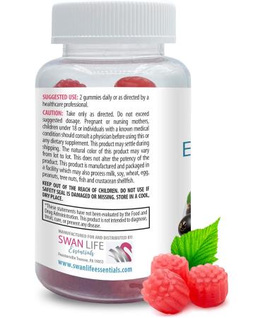 Immune System Support - Elderberry Gummies - Plant-Based Black Elderberry with Vitamin C All-Natural Ingredients - Raspberry Flavor Antioxidants Non-GMO Gluten-Free Soy-Free 2 Bot 120 Gummies - Buy Online on GoSupps.com