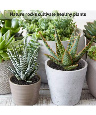 5lb Black Lava Rocks for Succulent Landscaping - Pure Volcanic Rocks for Plant Top-Dressing - 1/5 Inch Size - Buy Online on GoSupps.com